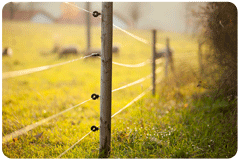 Fence in a Pasture